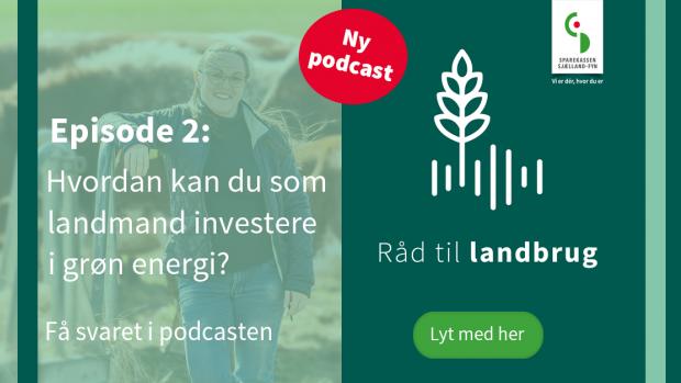 Sådan kan landbruget investere i grøn energi Råd til landbrug