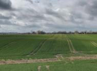 Sponsoreret Bayer Crop Science