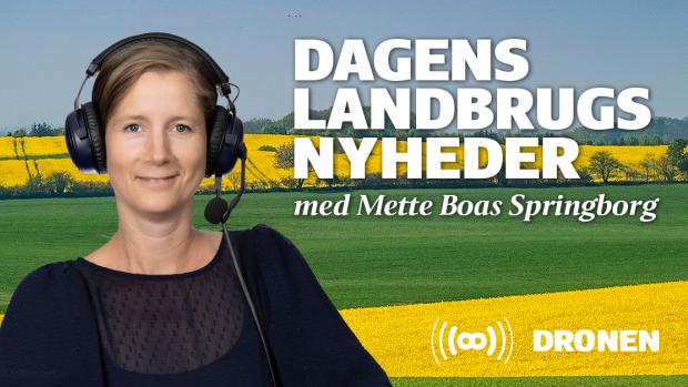 Dronen nyhedsprodcast landbrug