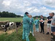 Sponsoreret MSD Animal Health