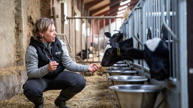 Sponsoreret MSD Animal Health Sponsoreret MSD Animal Health